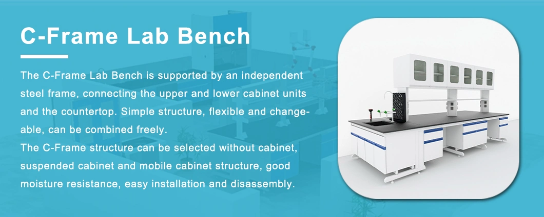 Metal/Wood Cabinet Unit for Laboratories Steel Frame Lab Benches for Food and Beverage Labs