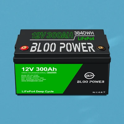 Bloo Power Sistema di pannelli solari senza manutenzione LiFePO4 per inverter camper Agv LED Pesca Stazione di telecomunicazioni