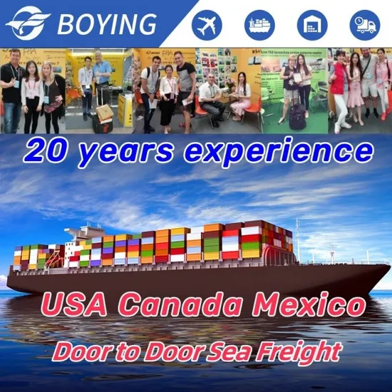 Servizio di stoccaggio del magazzino logistico nel magazzino doganale di Futian