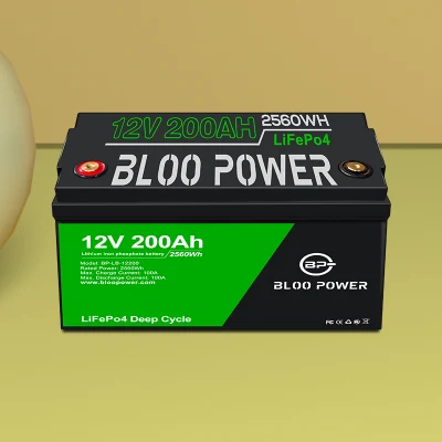 Bloopower Stoccaggio personalizzato 450ah con energia fosfato BMS per inverter camper Agv LED stazione di telecomunicazioni da pesca batteria al litio